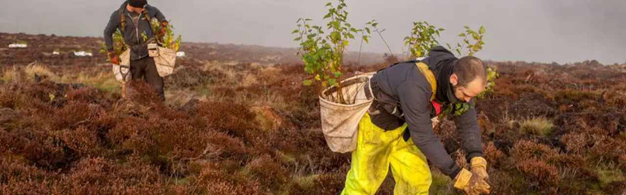 Going wild on a highland estate: 1563444878 2. Planters At Bamff 808X455