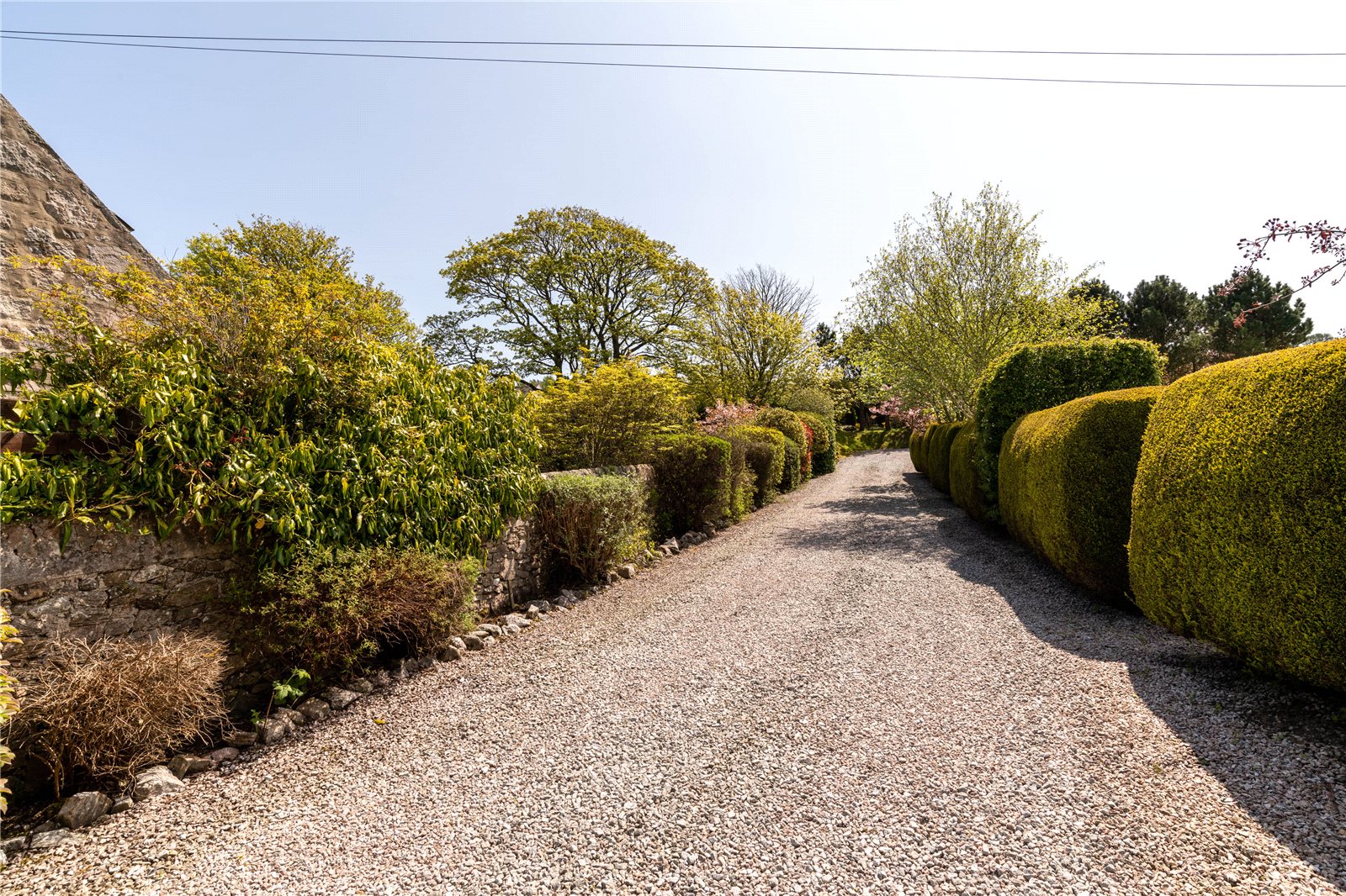 Driveway