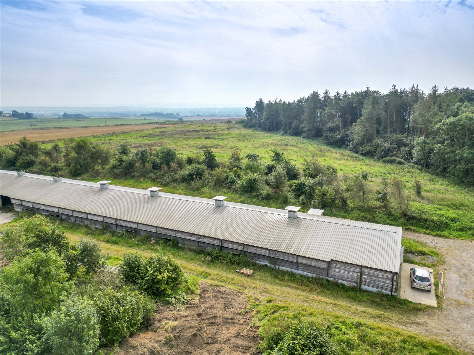 Chicken Shed