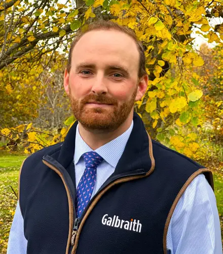 Photo of David Shine