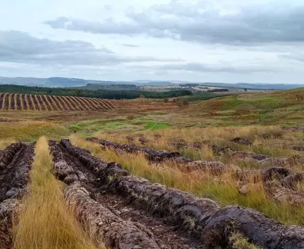 1563280141 Minnygap Shallow Ploughing (2) 808X455