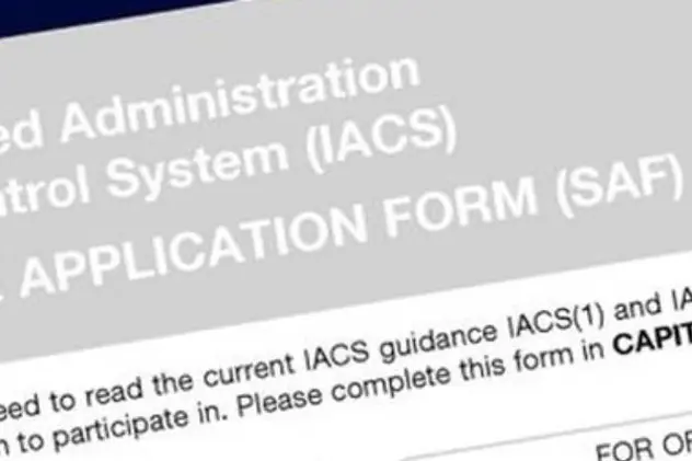 Srdp And Iacs 0 808X455