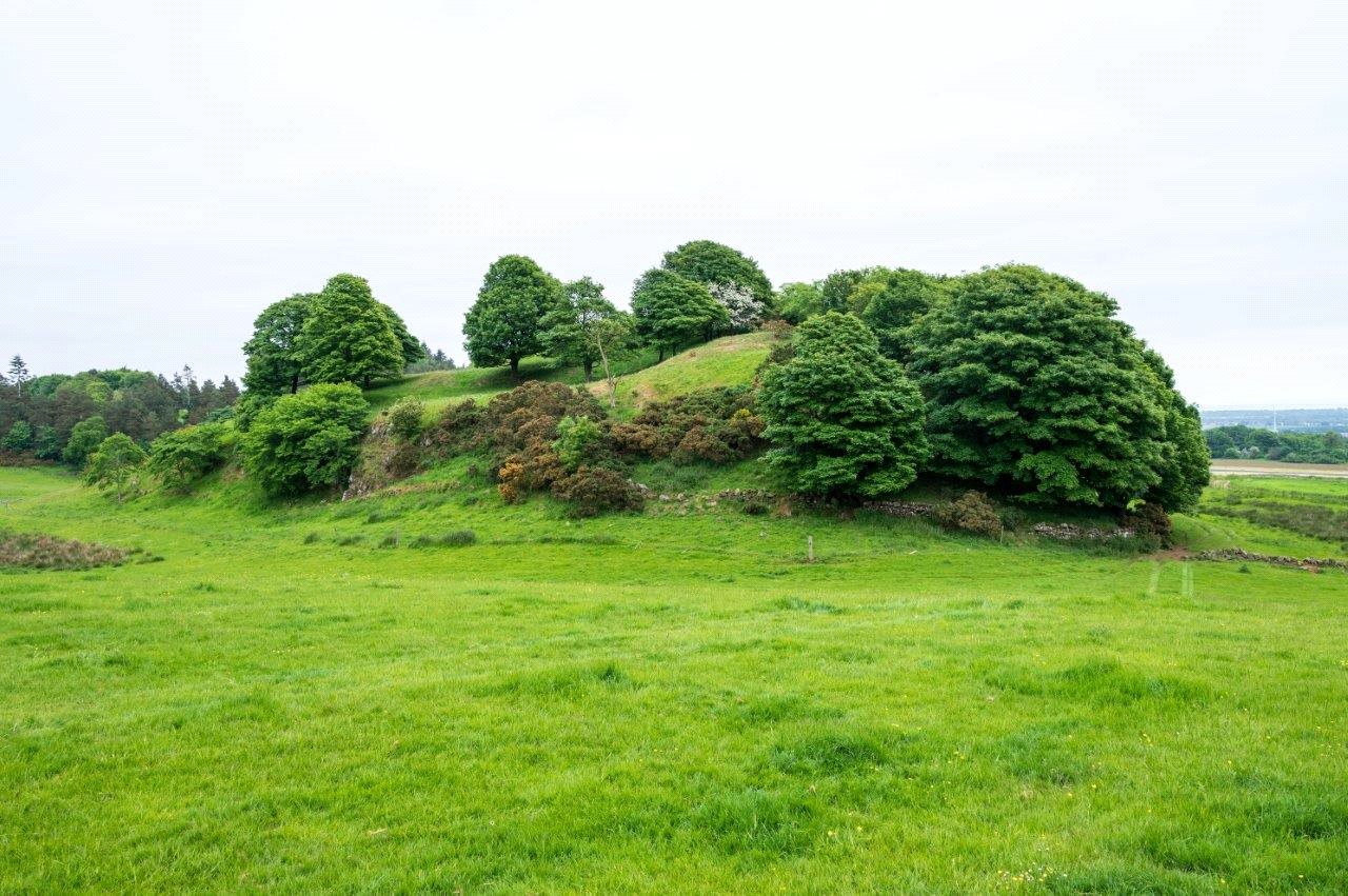 Land