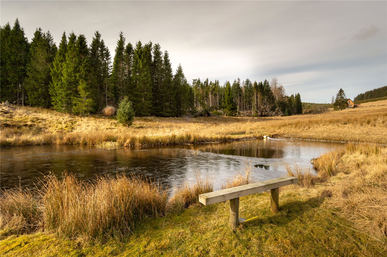 Pond