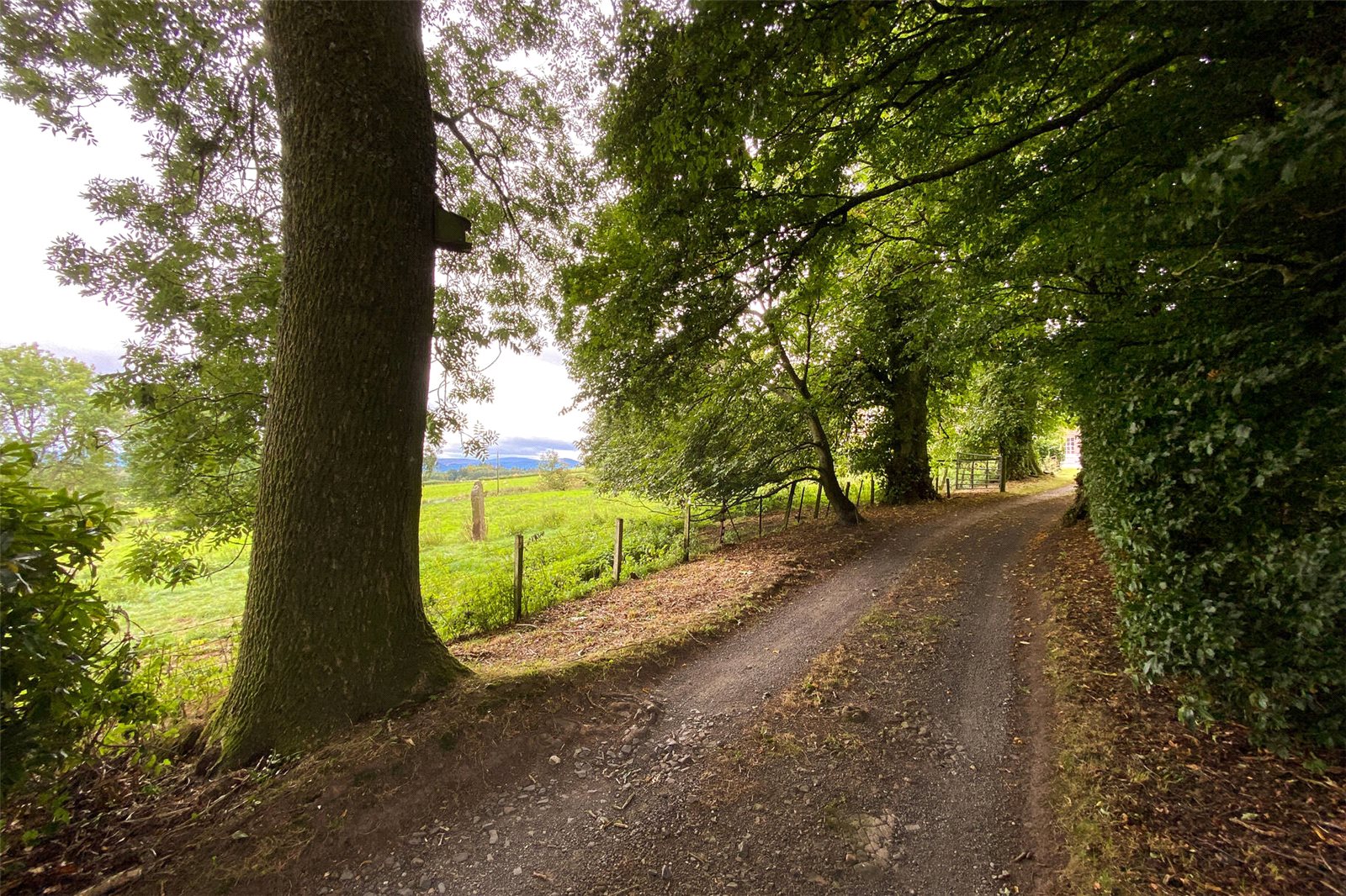 Entrance Drive