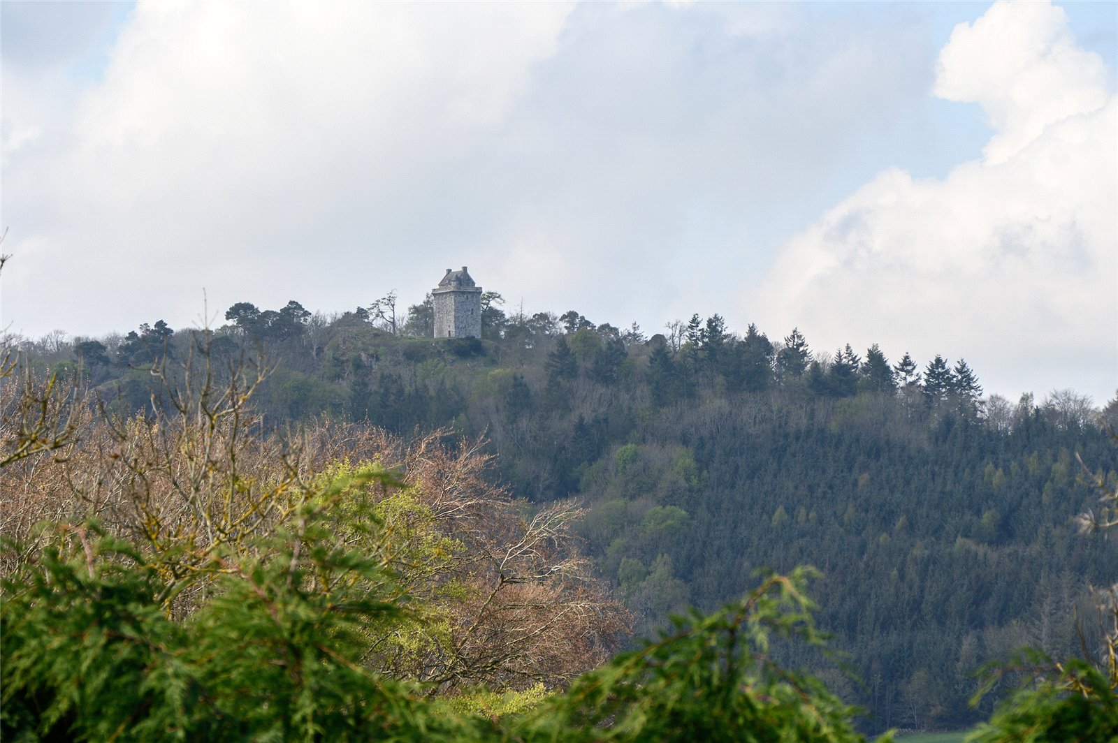 Fatlips Castle
