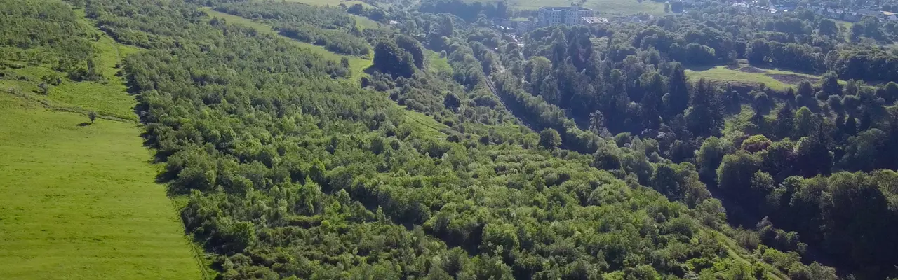 Attractive Area Of Amenity Woodland Goes On Sale Near Glasgow: Woodland At Foreside Image 1