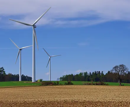 When trees must make way for energy projects: Woodland | Energy | Cameron Main