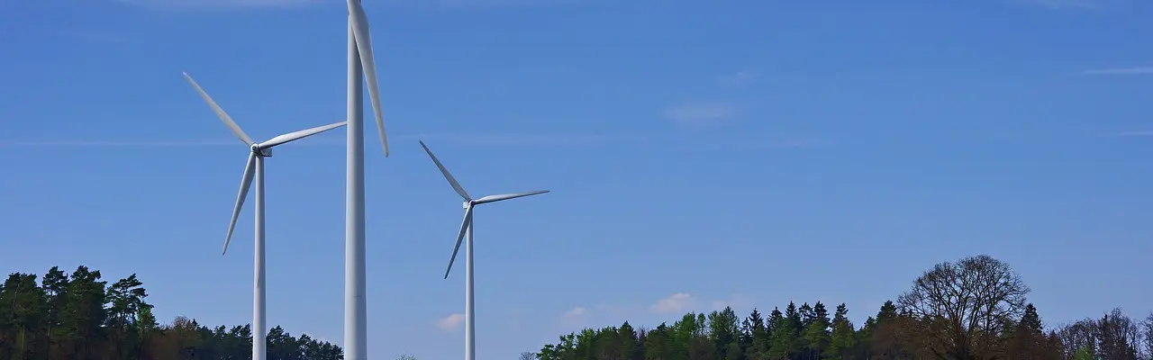 When trees must make way for energy projects: Woodland | Energy | Cameron Main