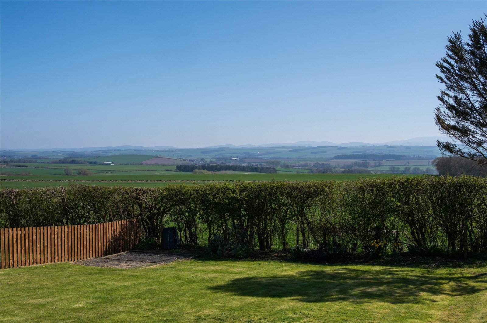 Garden and View