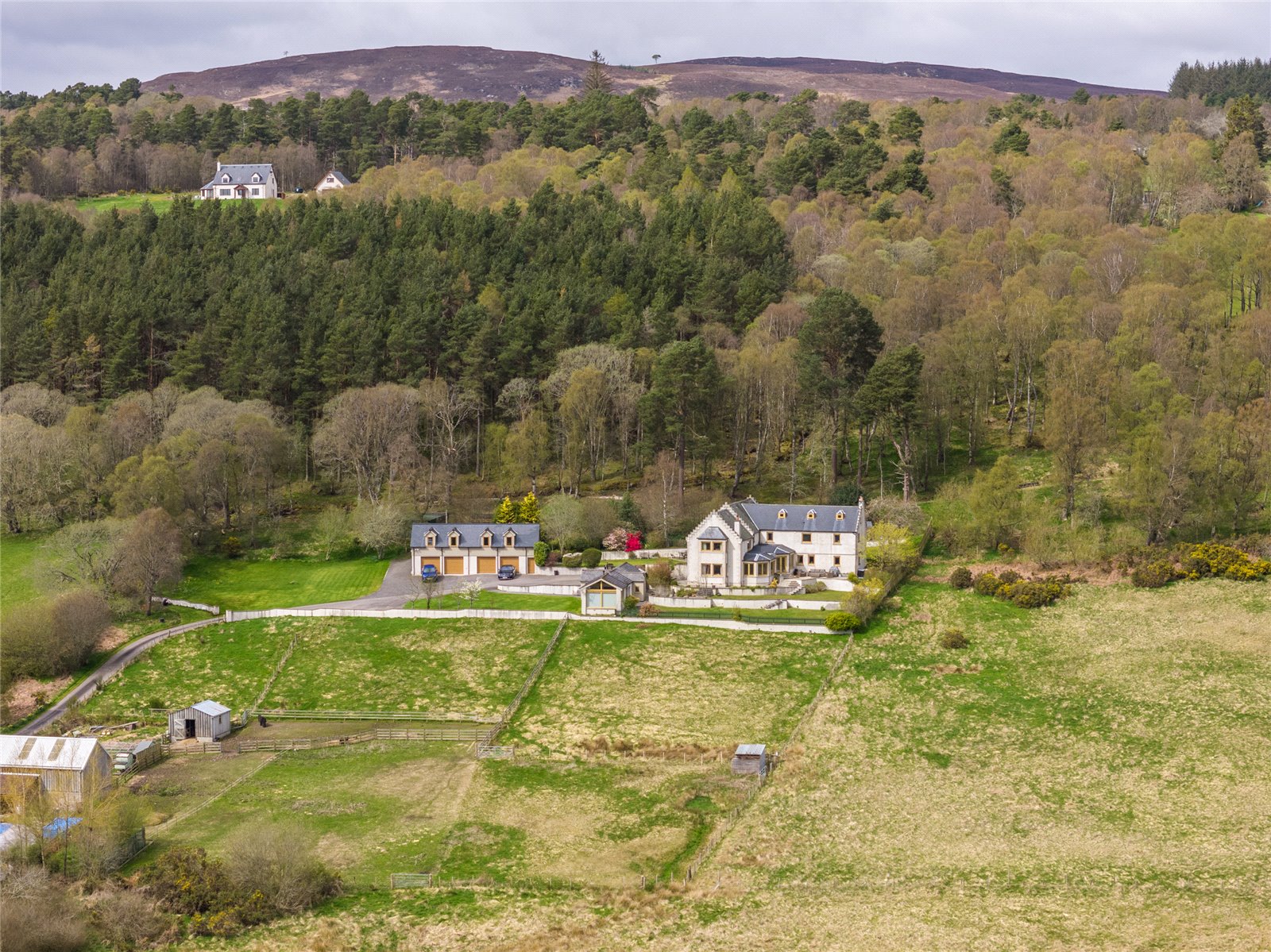 Overview