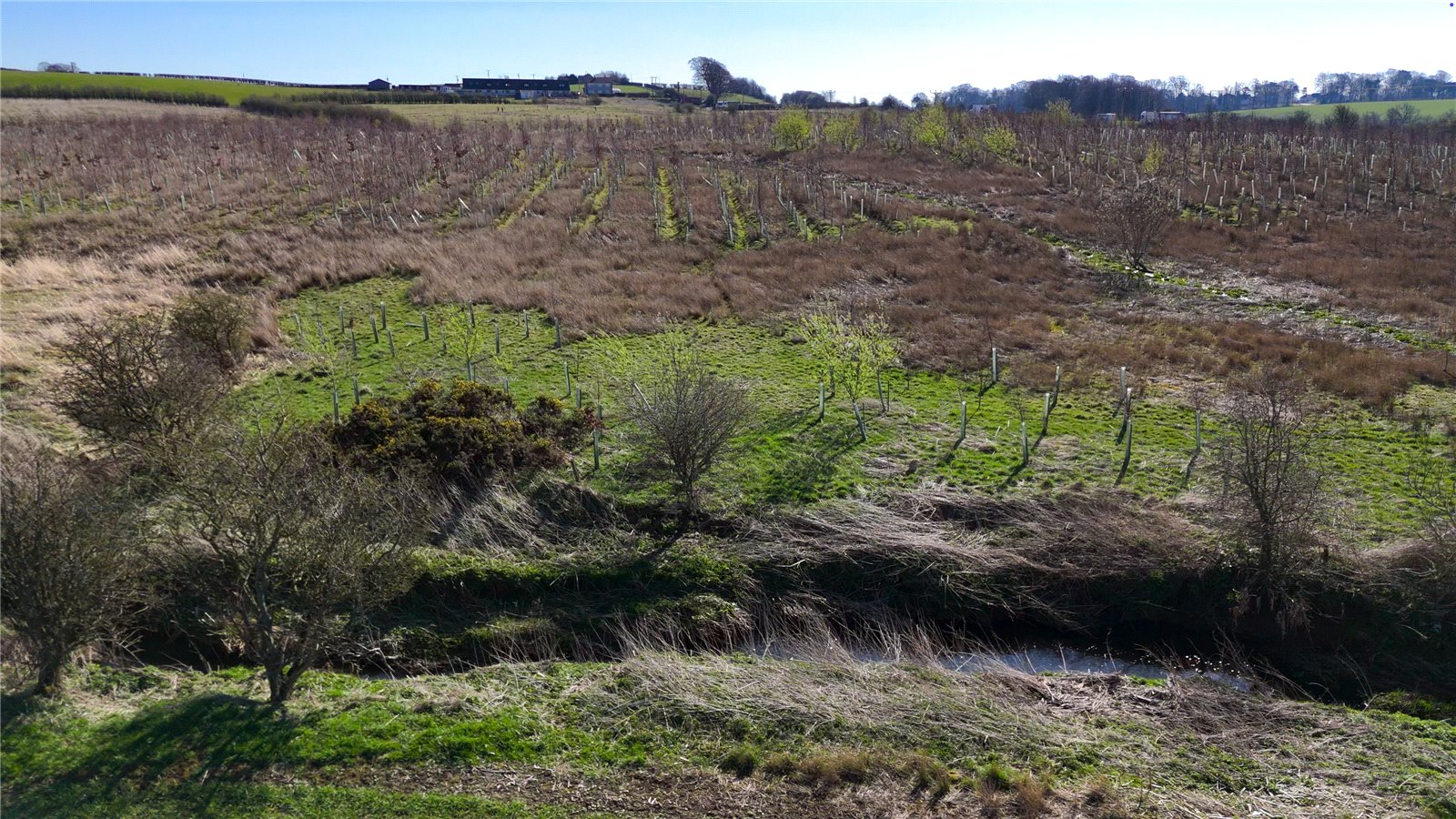 Land At Cauldhame