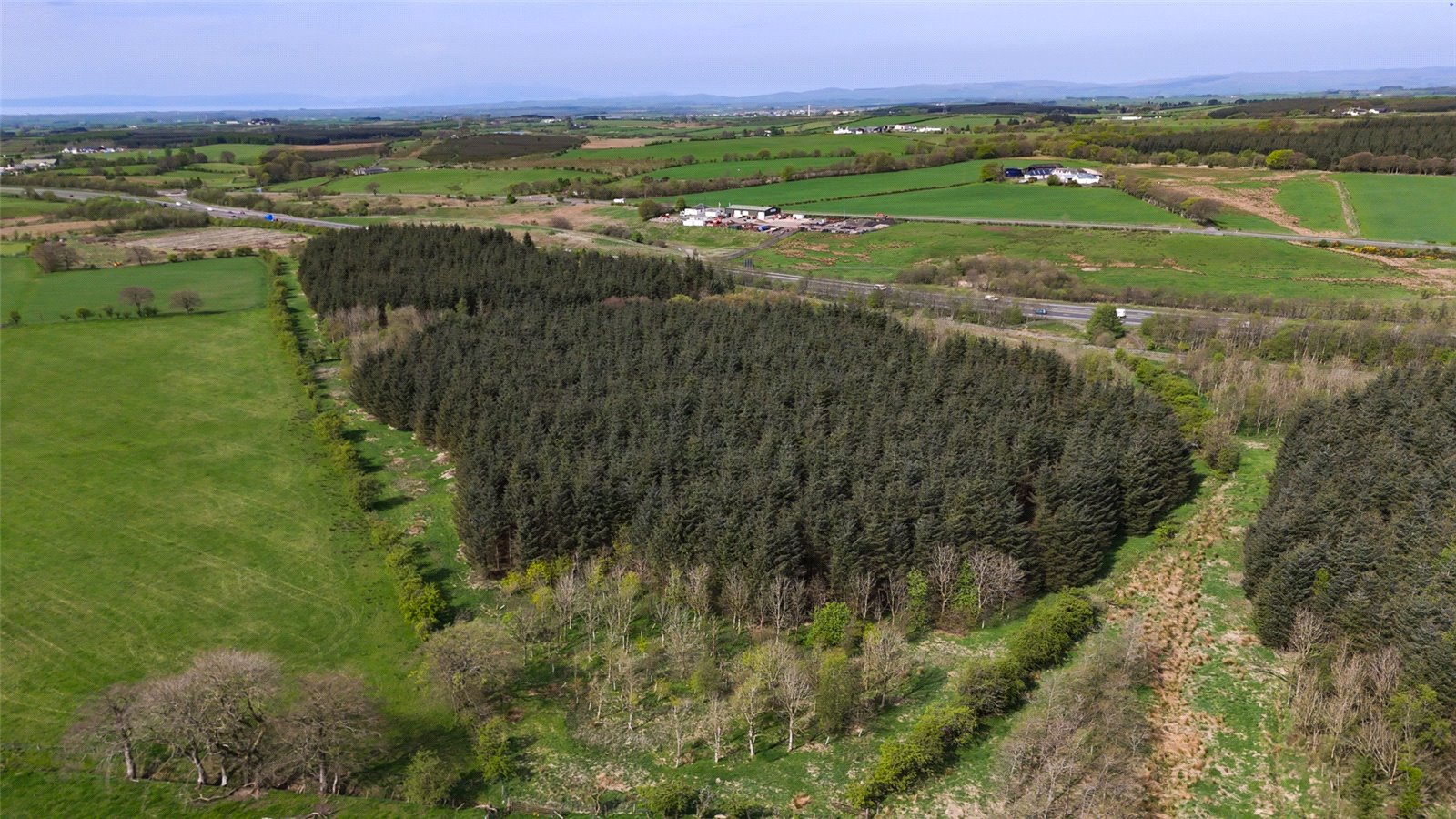 Laighmuir Woodland