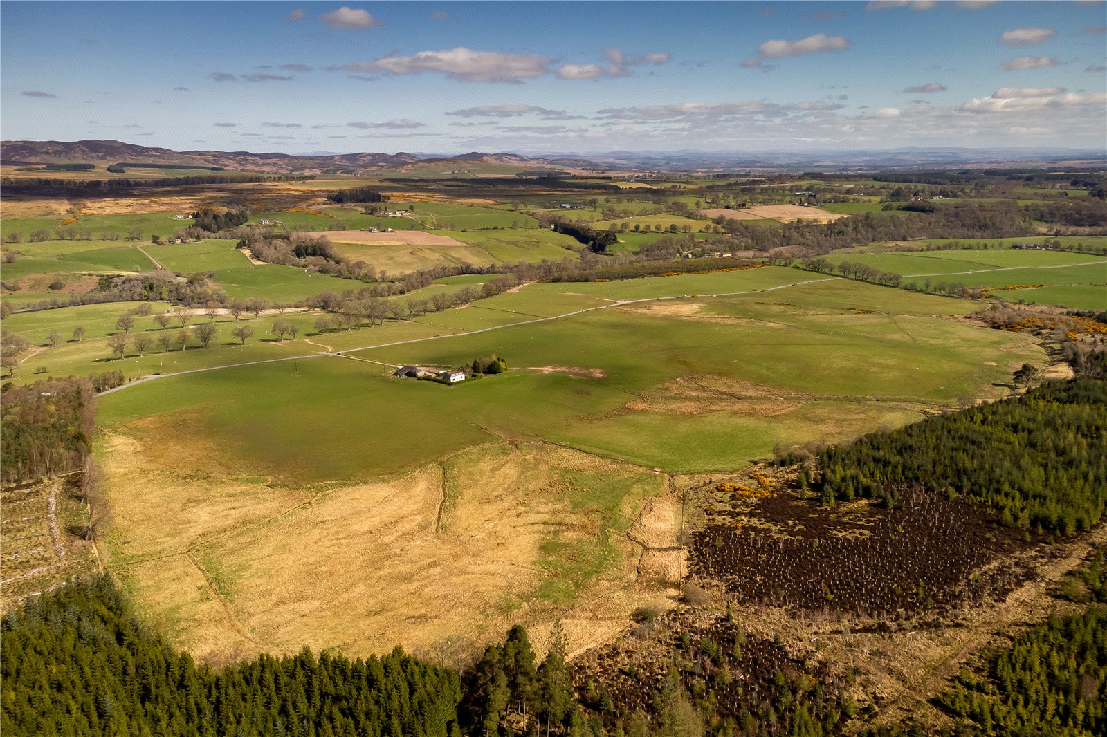 Pictston Farm