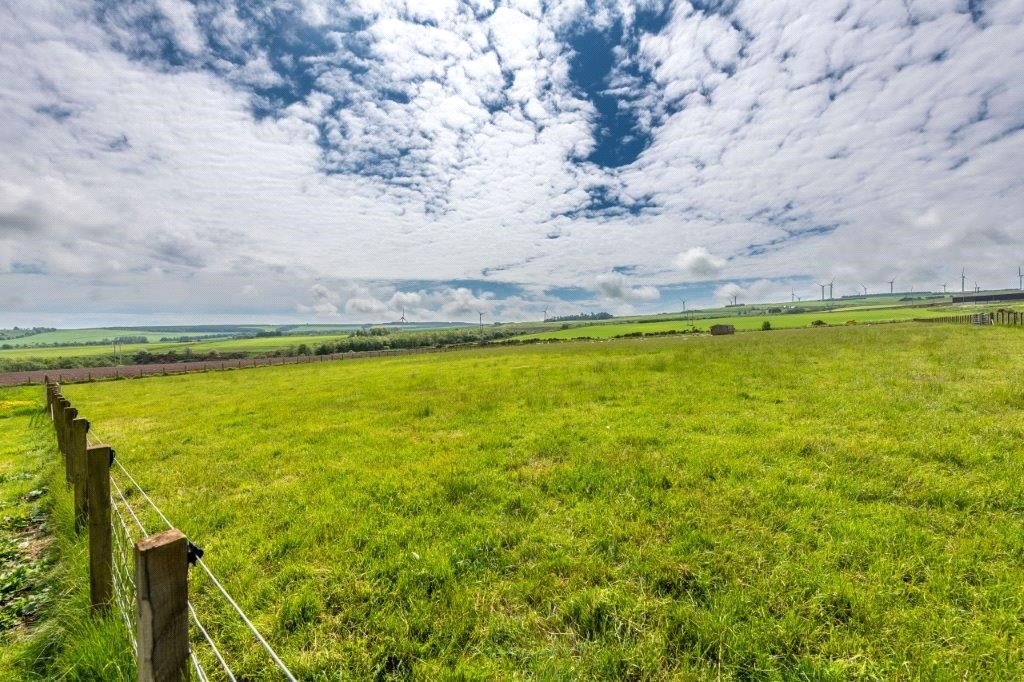 Paddocks