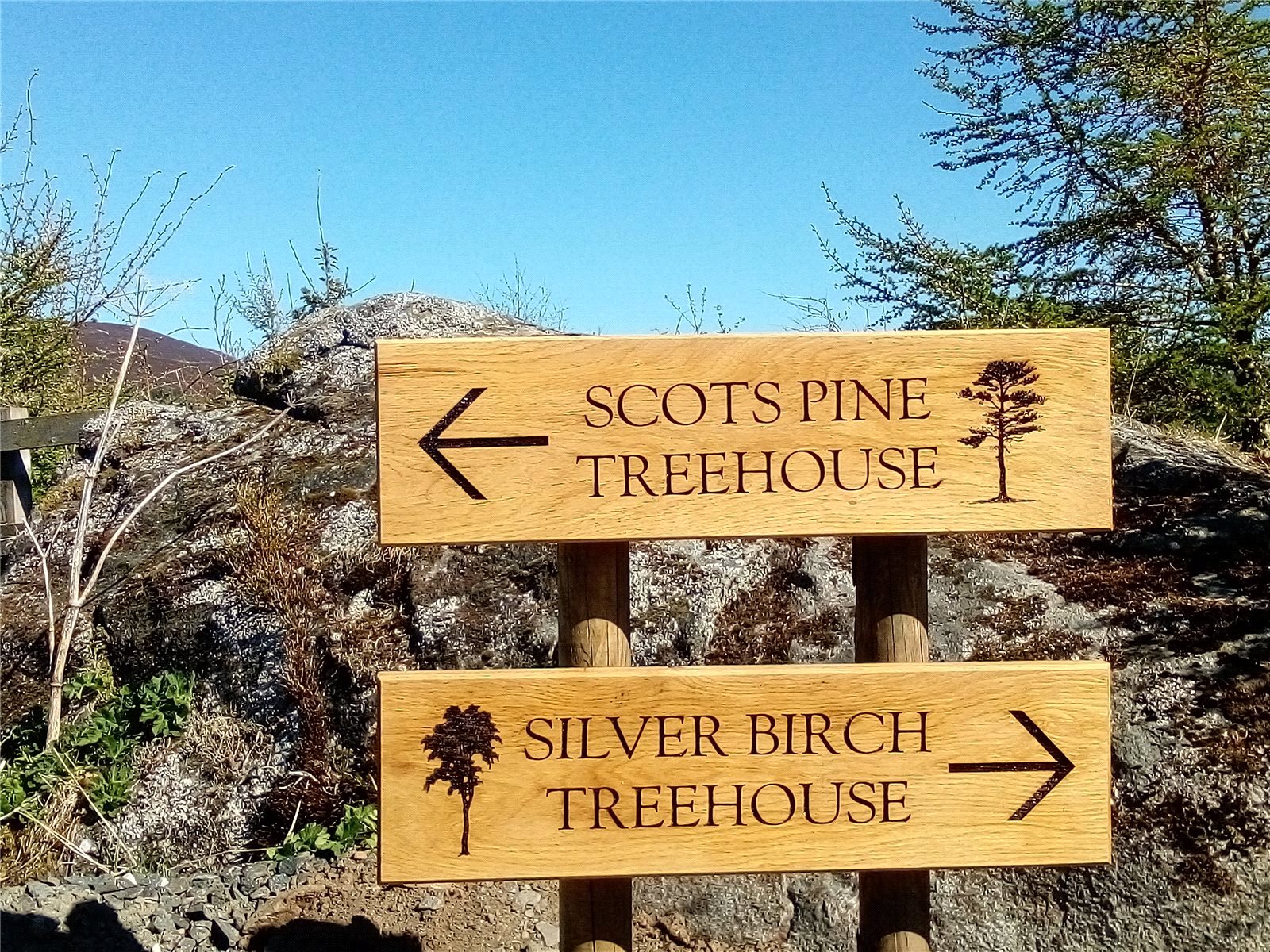 Treehouses Sign