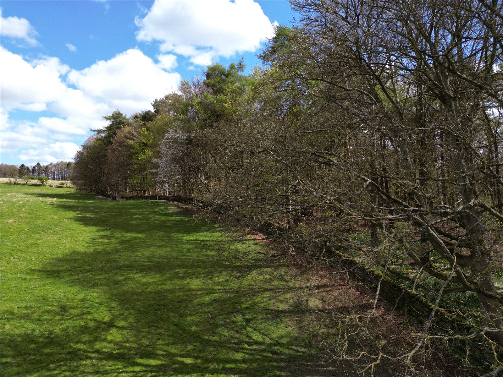 Land & Woodland