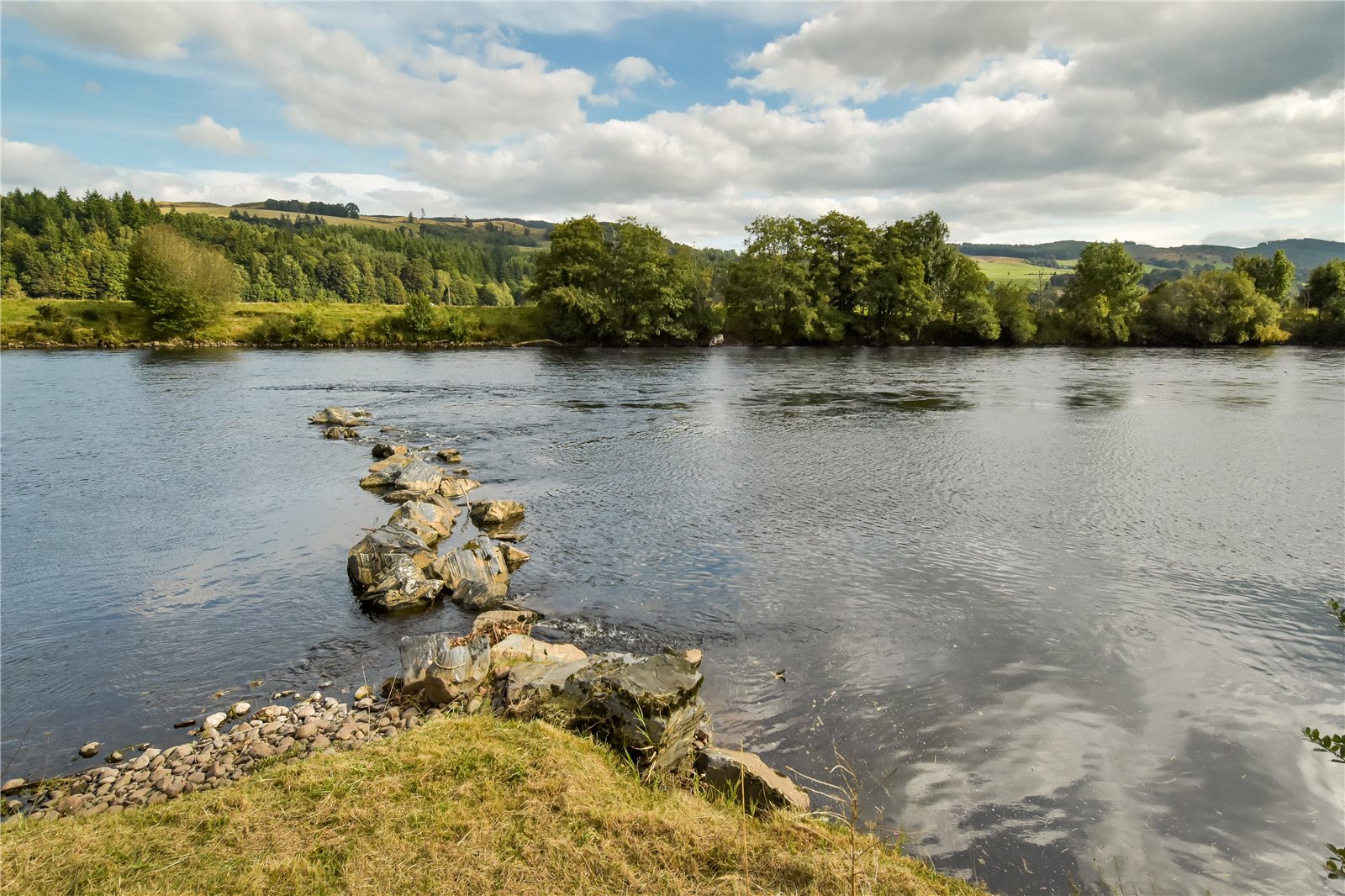 Dalguise Fishings