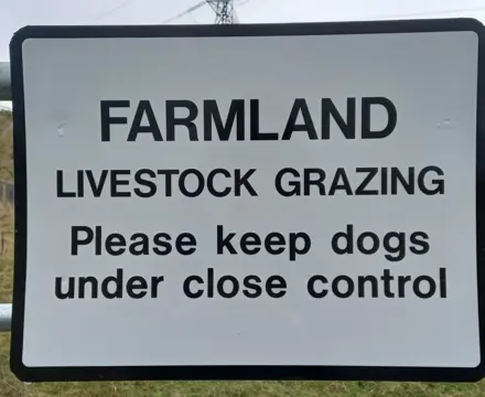 Dog Worrying - Another Covid Legacy?: Dog Sign