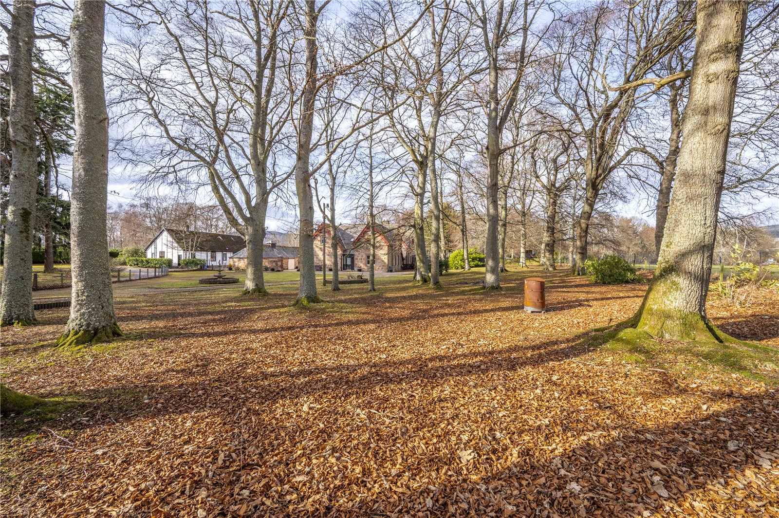 Grounds