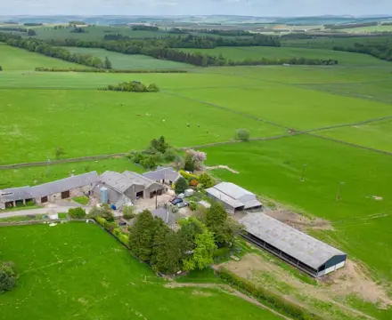 Versatile livestock farm in the Scottish Borders : Hawksnest Farm, Aerial 1 (Large)