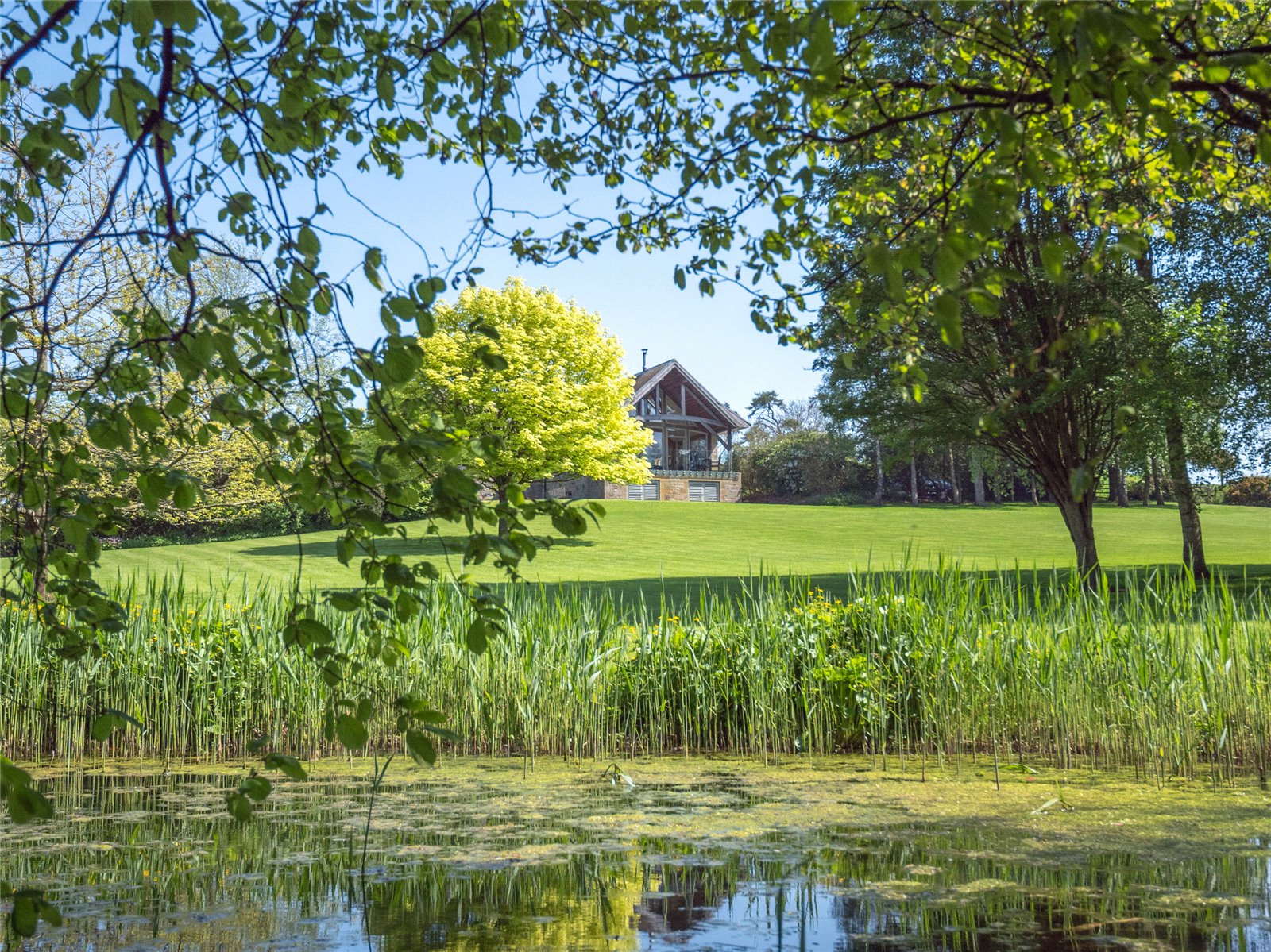 View Over Pond