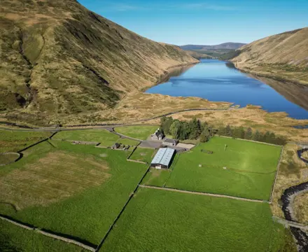 Scenic hill farm with stunning views over the Talla Reservoir : Talla Farm 2 (Large)