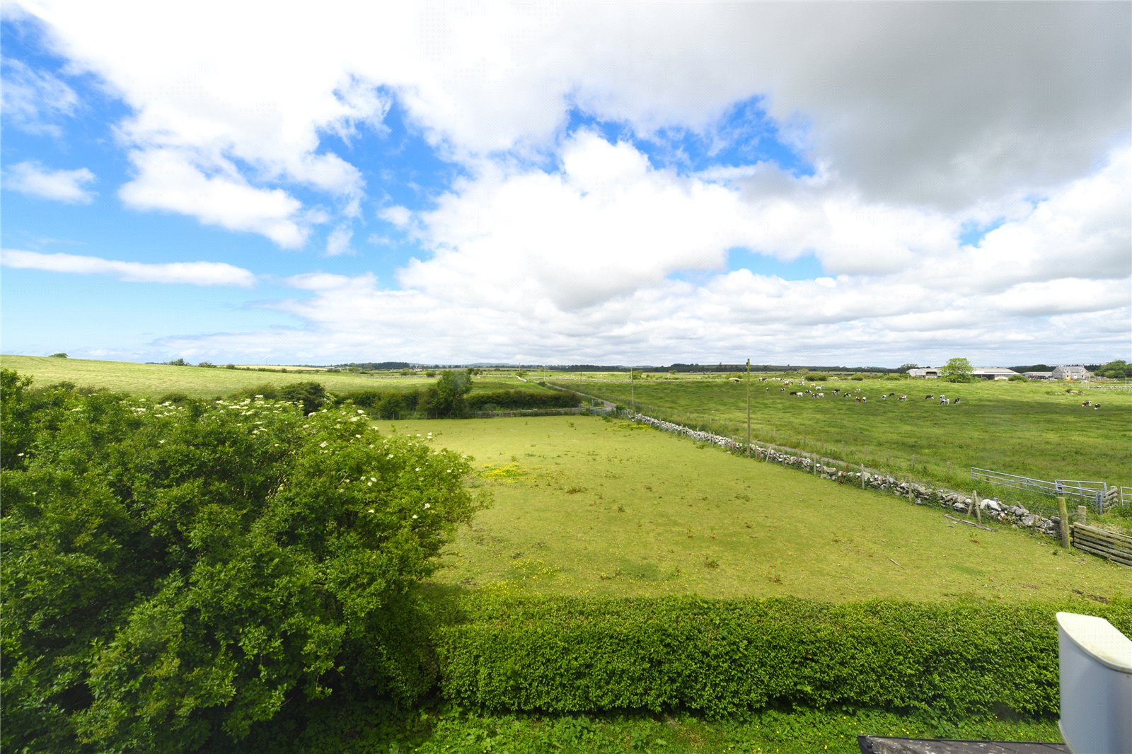 View From Garden