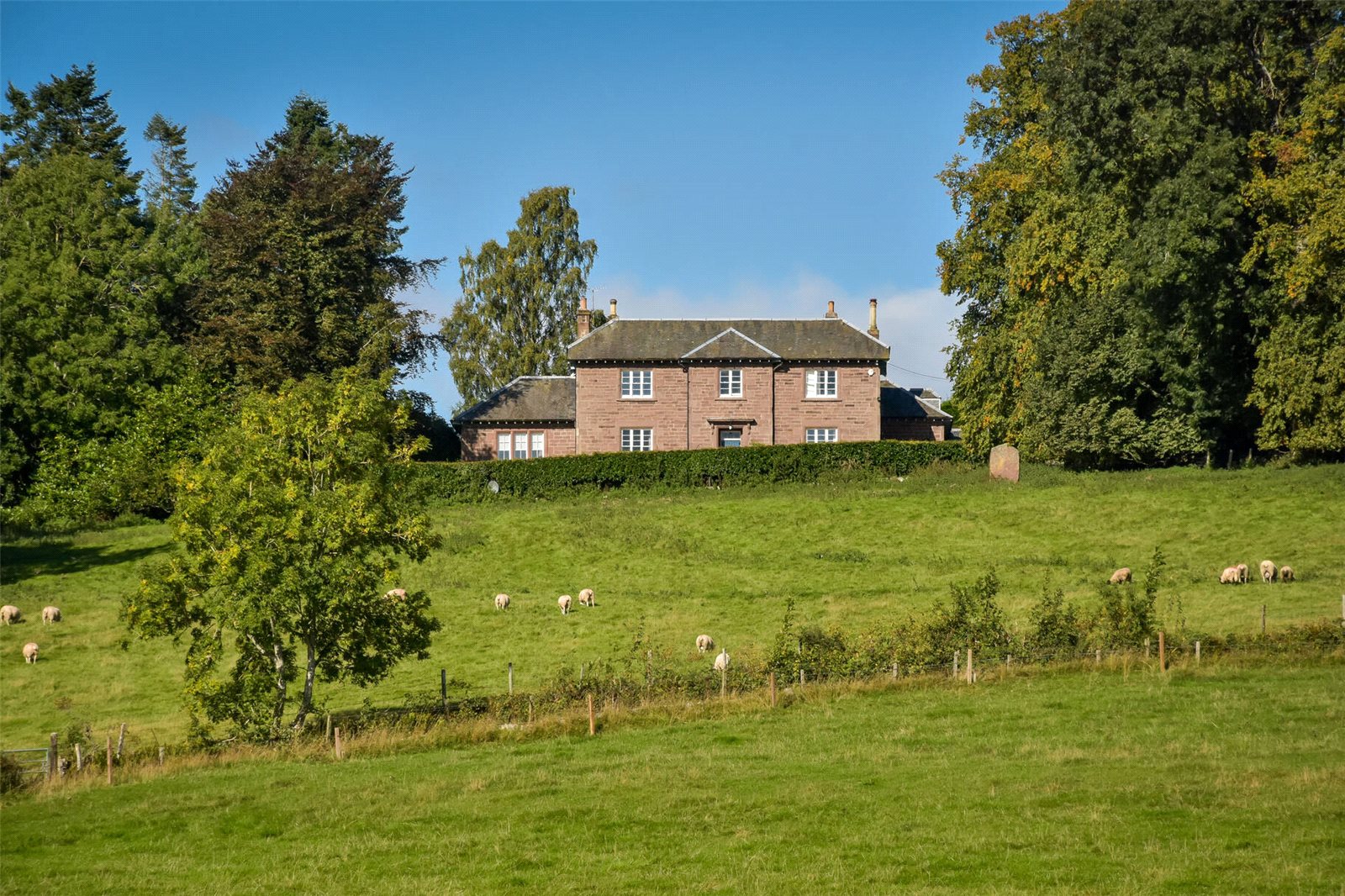 The Grange