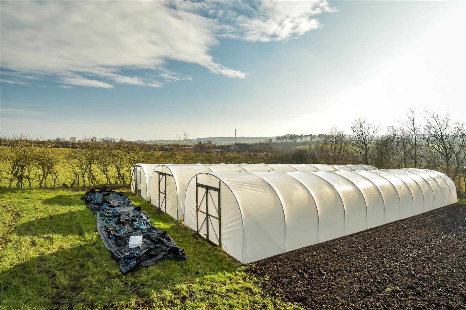 Polytunnels