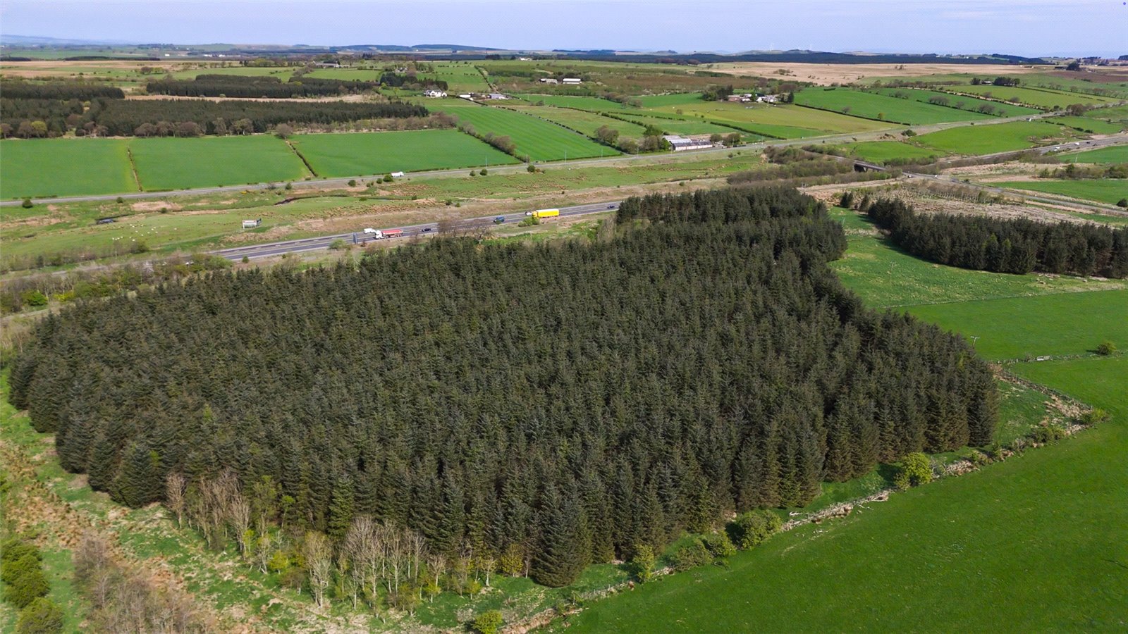 Laighmuir Woodland