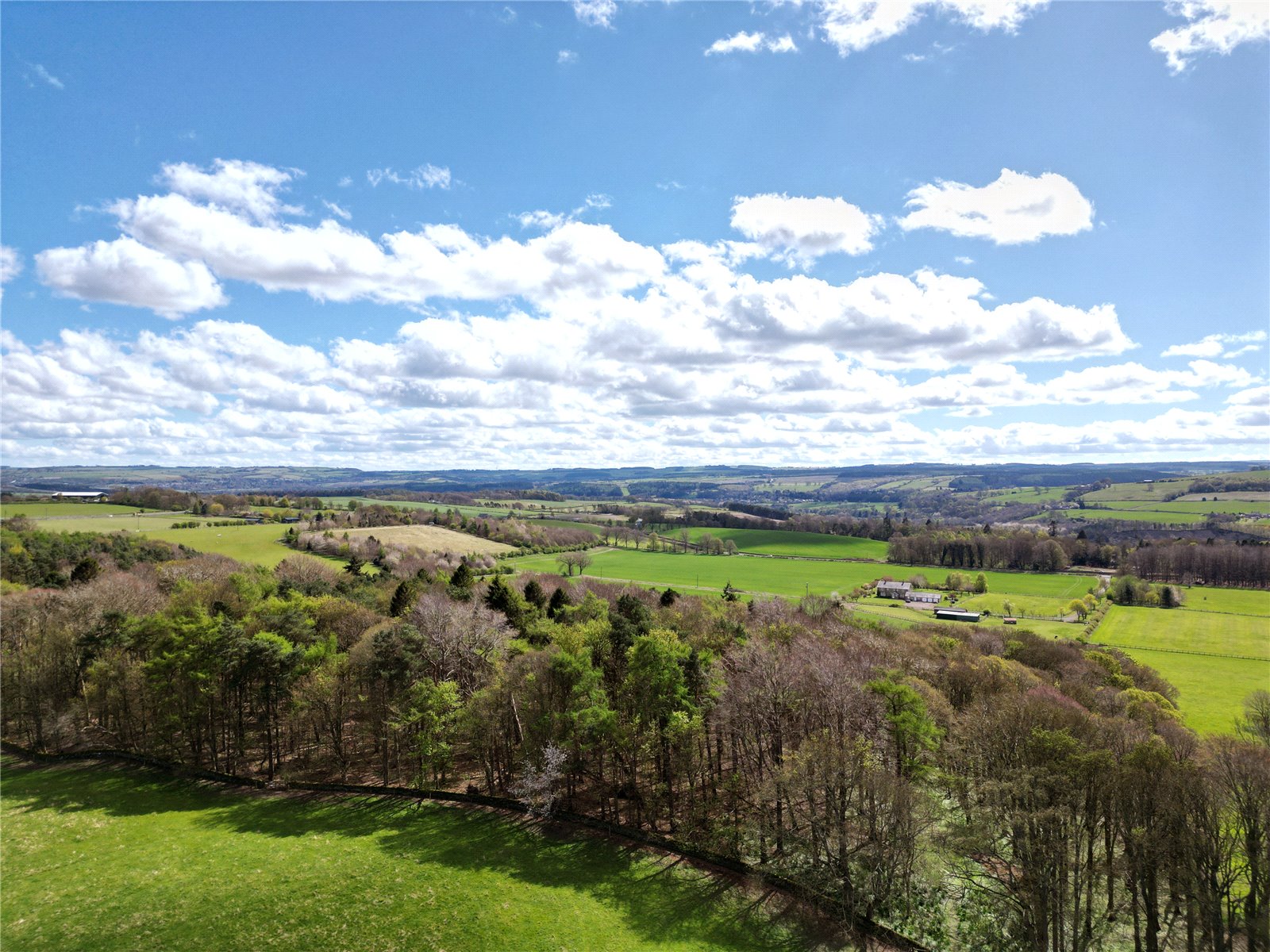 Land & Woodland