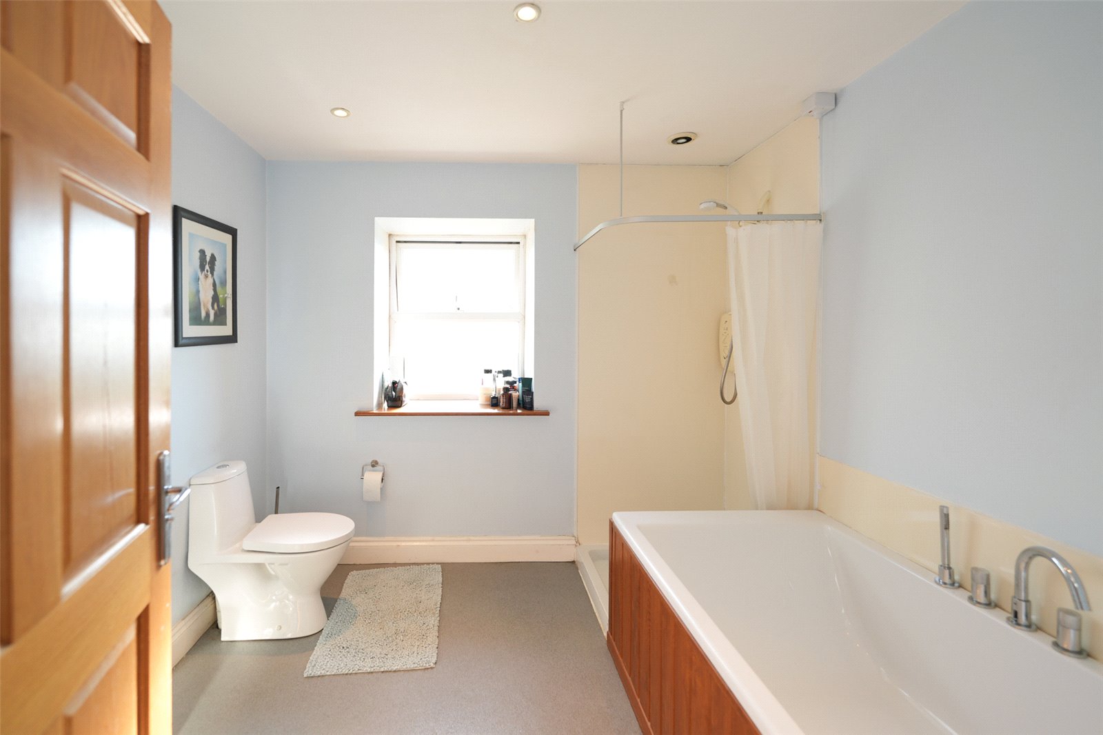 Bathroom/Shower Room