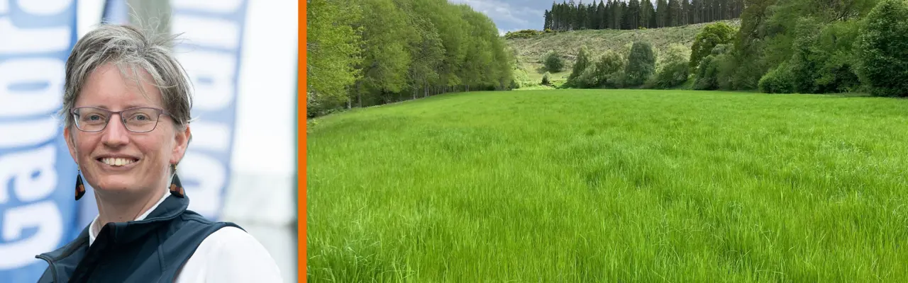 Natural capital update: Galbraith team contributes to key report on Scotland’s ‘nature economy’ future: Borders (3) (4)