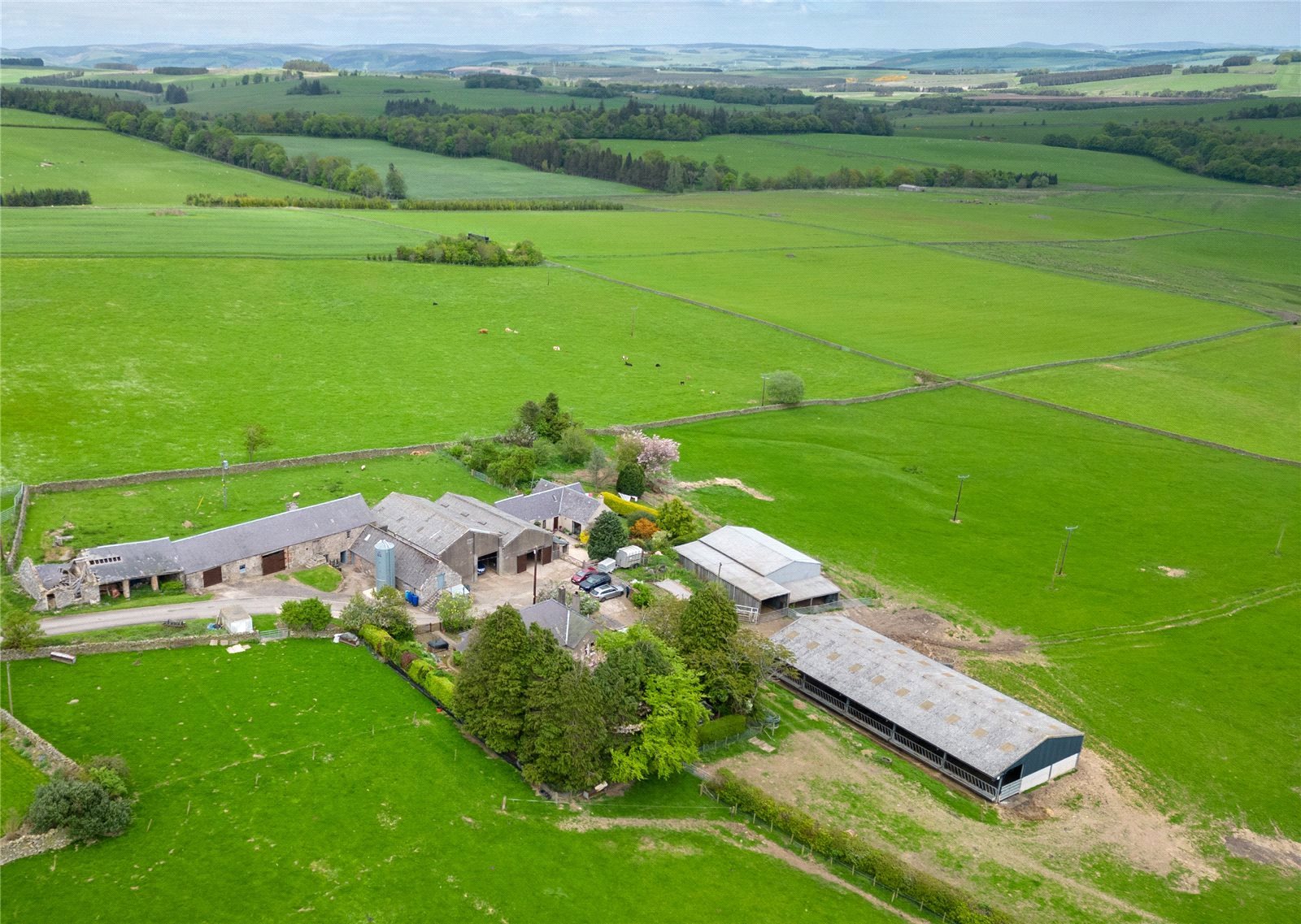 Hawksnest Aerial