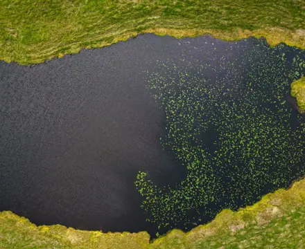 Extensive area of land for sale where Robert the Bruce's army disposed of their weapons after their defeat at the Battle of Dalrigh : Auchreoch, Galbraith (2) Lochan Nan Arm