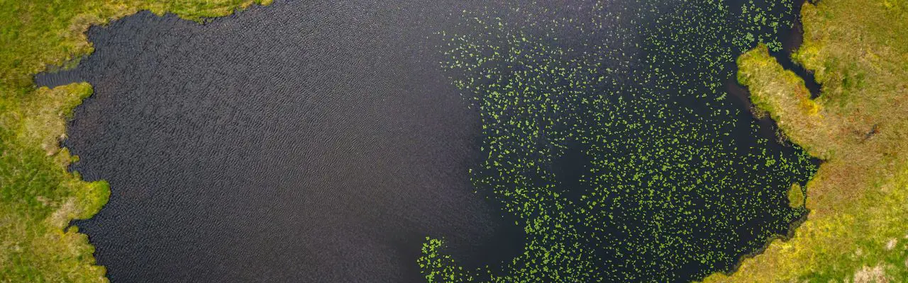 Extensive area of land for sale where Robert the Bruce's army disposed of their weapons after their defeat at the Battle of Dalrigh : Auchreoch, Galbraith (2) Lochan Nan Arm