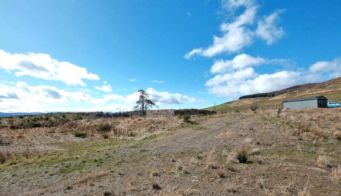 Site Image