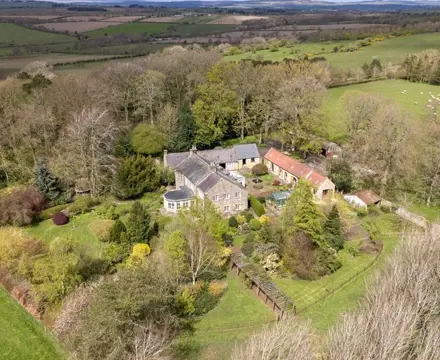 The Weekly Round Up | 24/01/25: Stanton