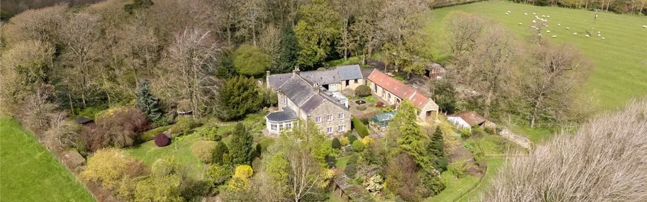 The Weekly Round Up | 24/01/25: Stanton