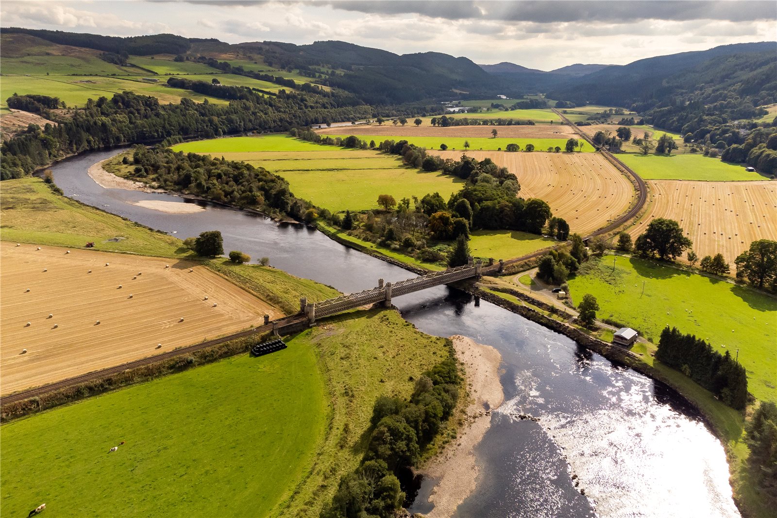 Dalguise Fishings