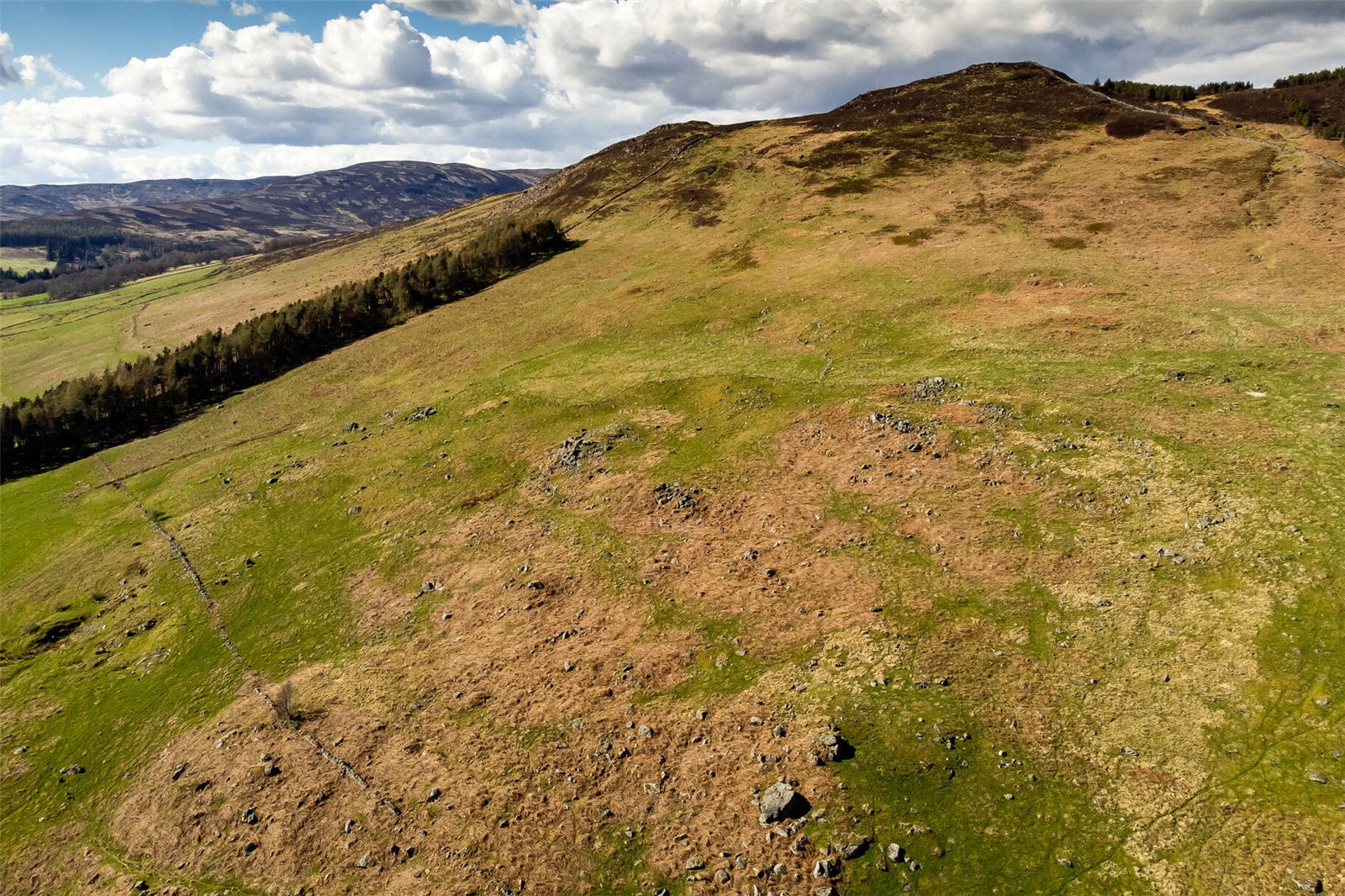 Lot 3 Land
