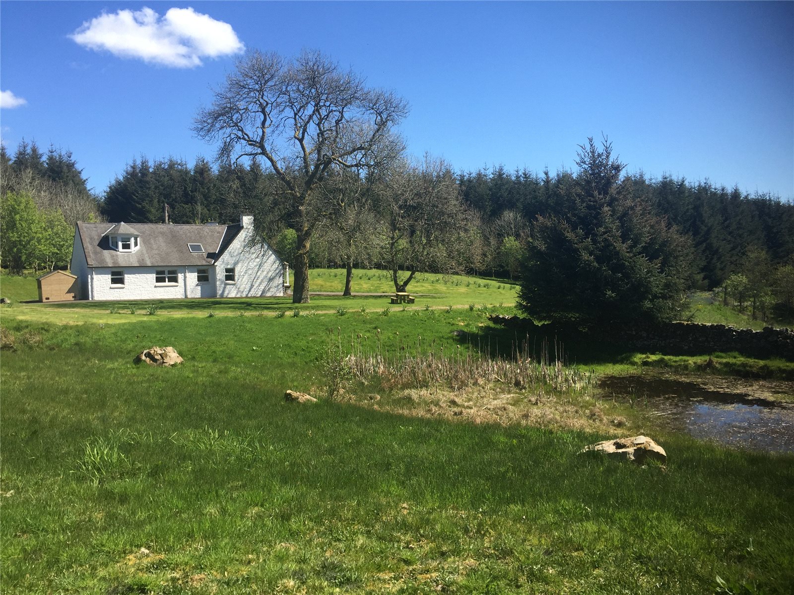 House & Pond