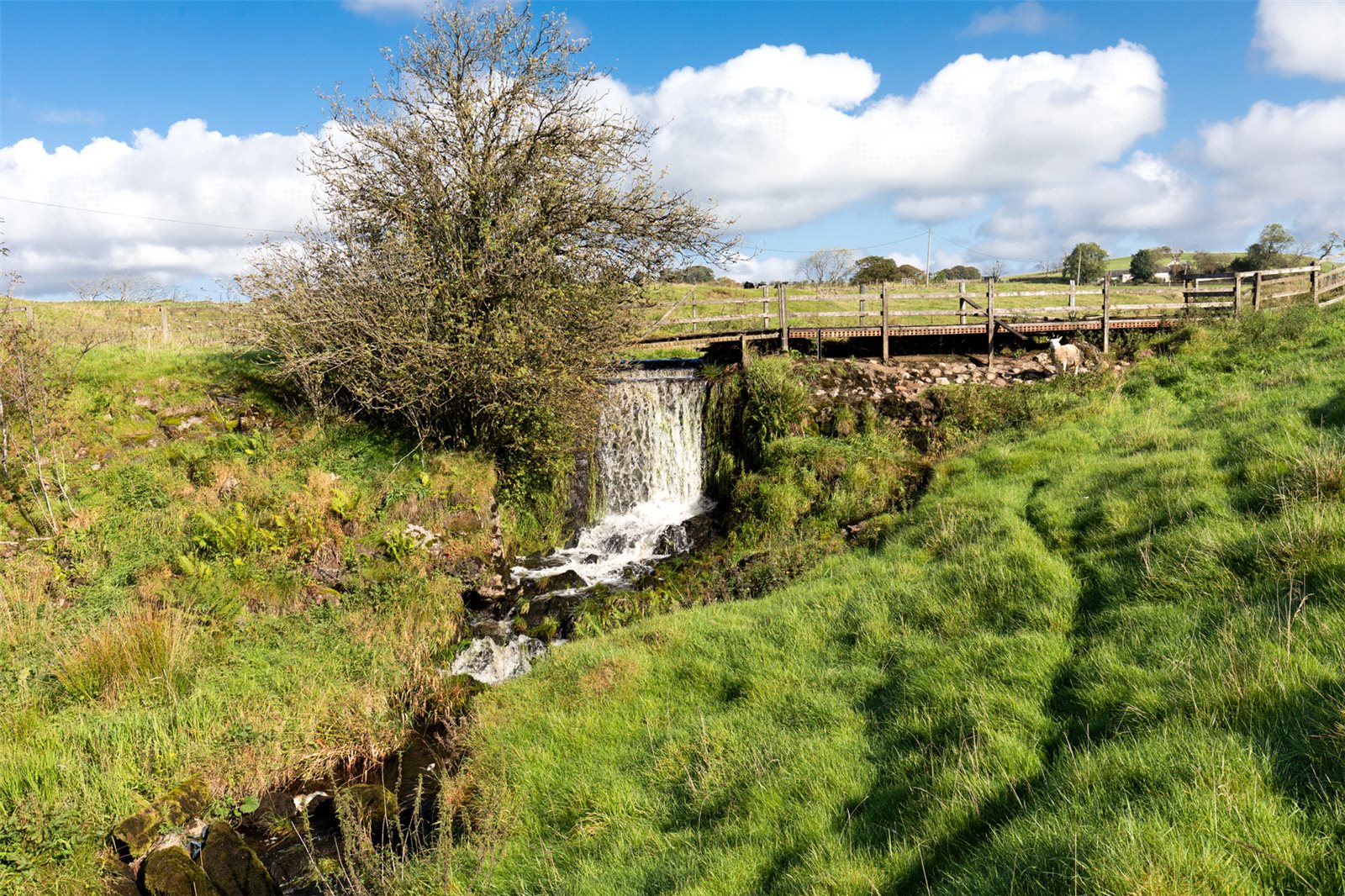 Waterfall