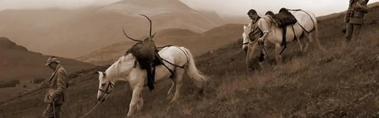 Land Reform The Reintroduction of Sporting Rates: The Reintroduction Of Sporting Rates 808X455