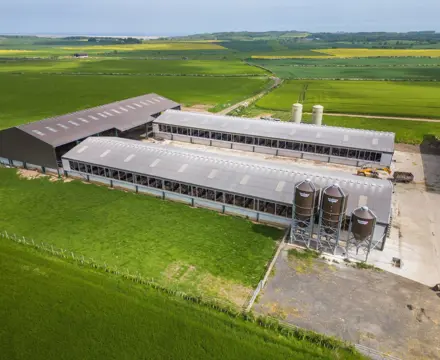 Superb arable farm for sale in Northumberland: Adderstone Mains Farm 3 (Large)