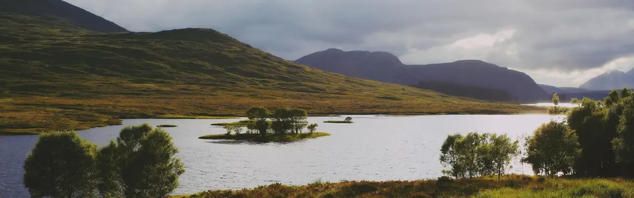 Land Reform (Scotland) Bill 2025: Land Reform Bill 2025 (Scotland)