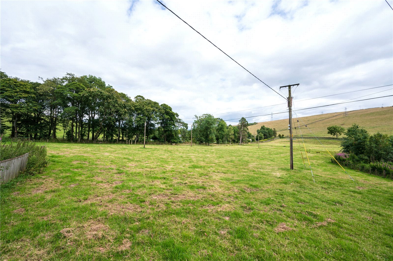Lot 1
