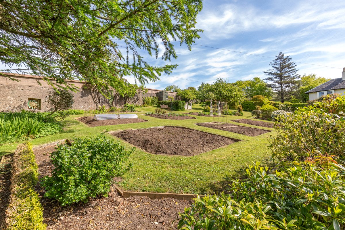 Vegetable Plot