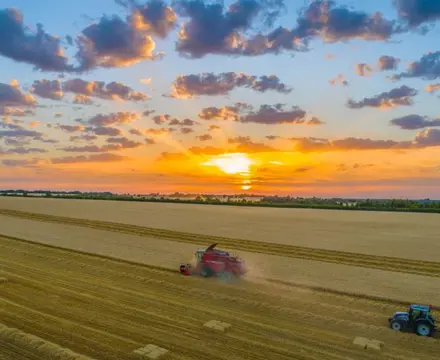 Rural – land of opportunity and resilience: 1604491896 Crawford M 808X455